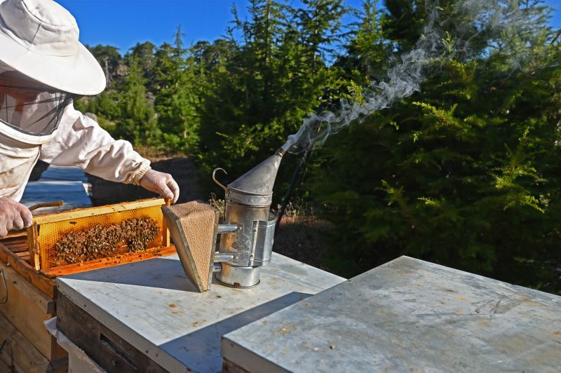 Cost of Beaver Control Service — Cost of Beaver Control Service