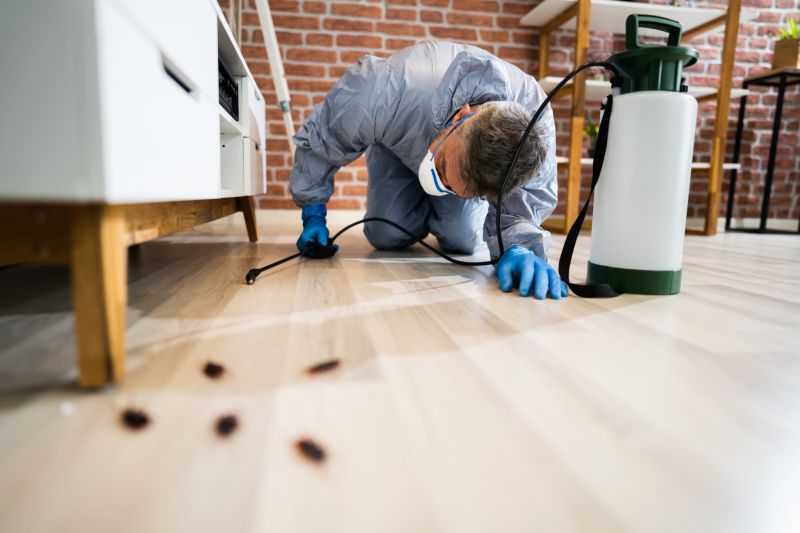 Insect Extermination Service in Katy, TX