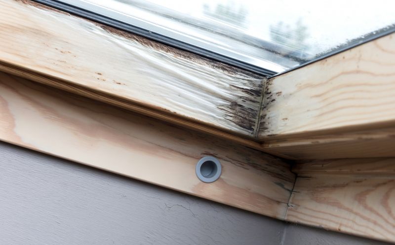 Dam Repair and Prevention