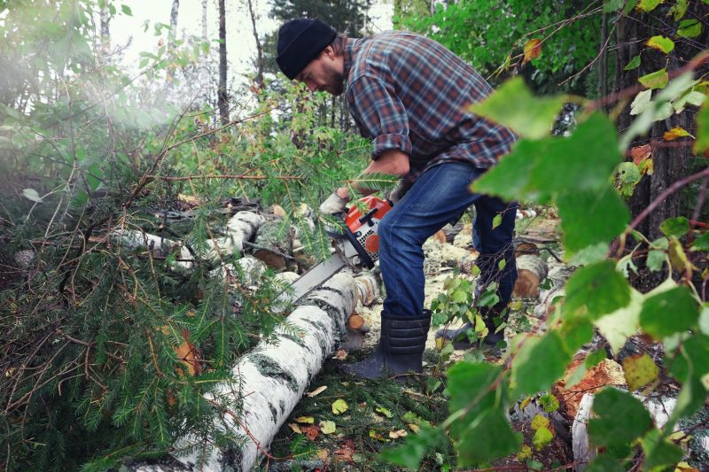 Why Beavers Target Culverts And Drainage Channels Near Homes